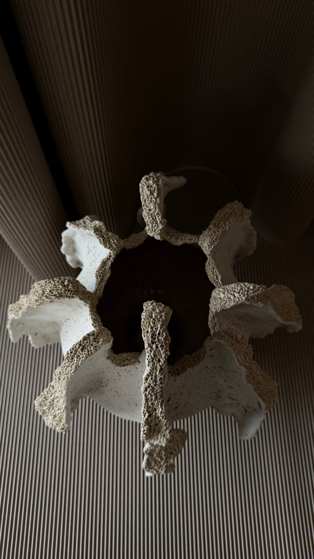 UNDERTOW No. 11