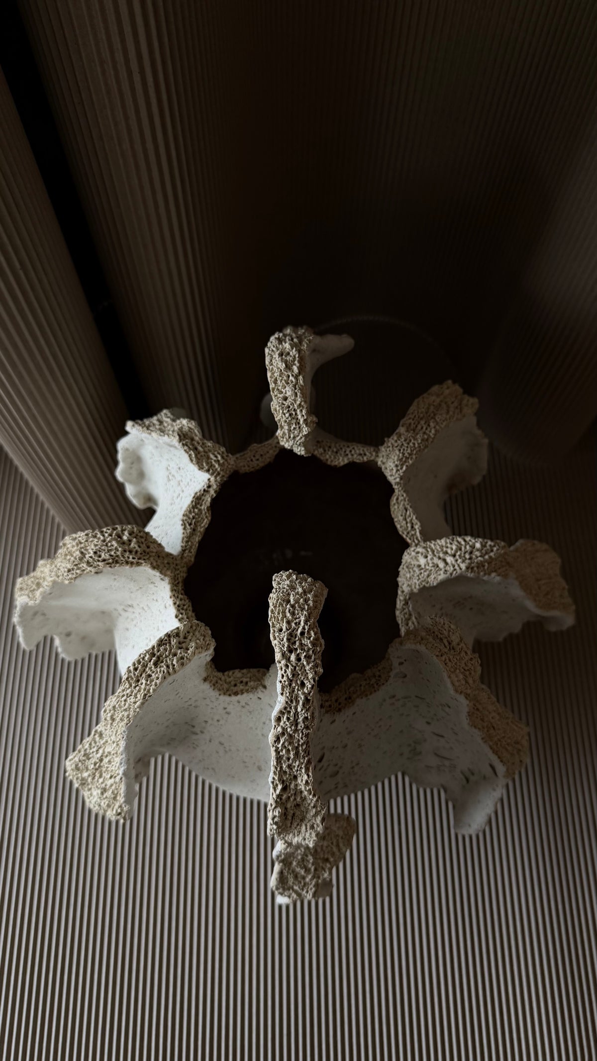 UNDERTOW No. 11