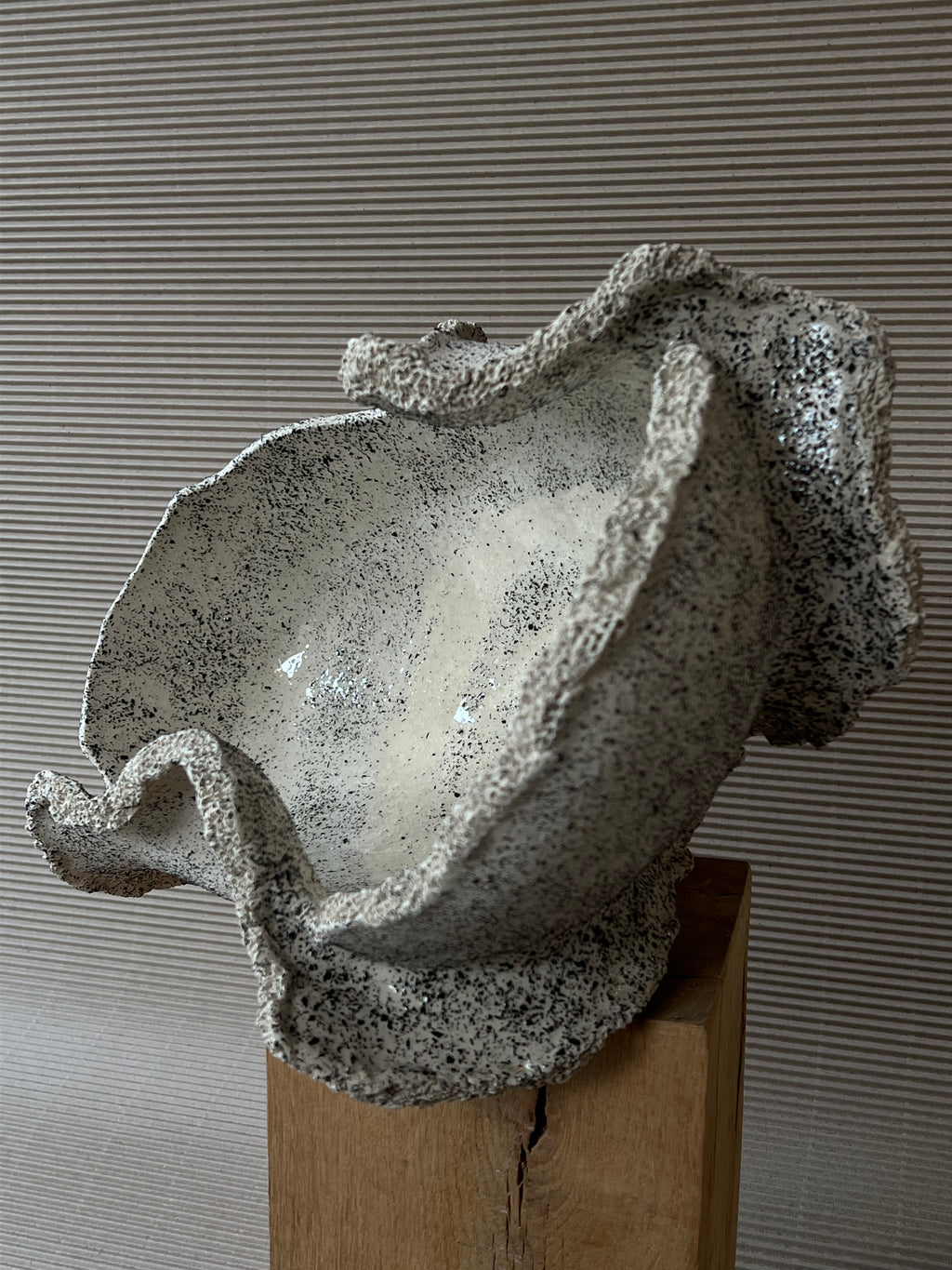 Misa UNDERTOW No. 2