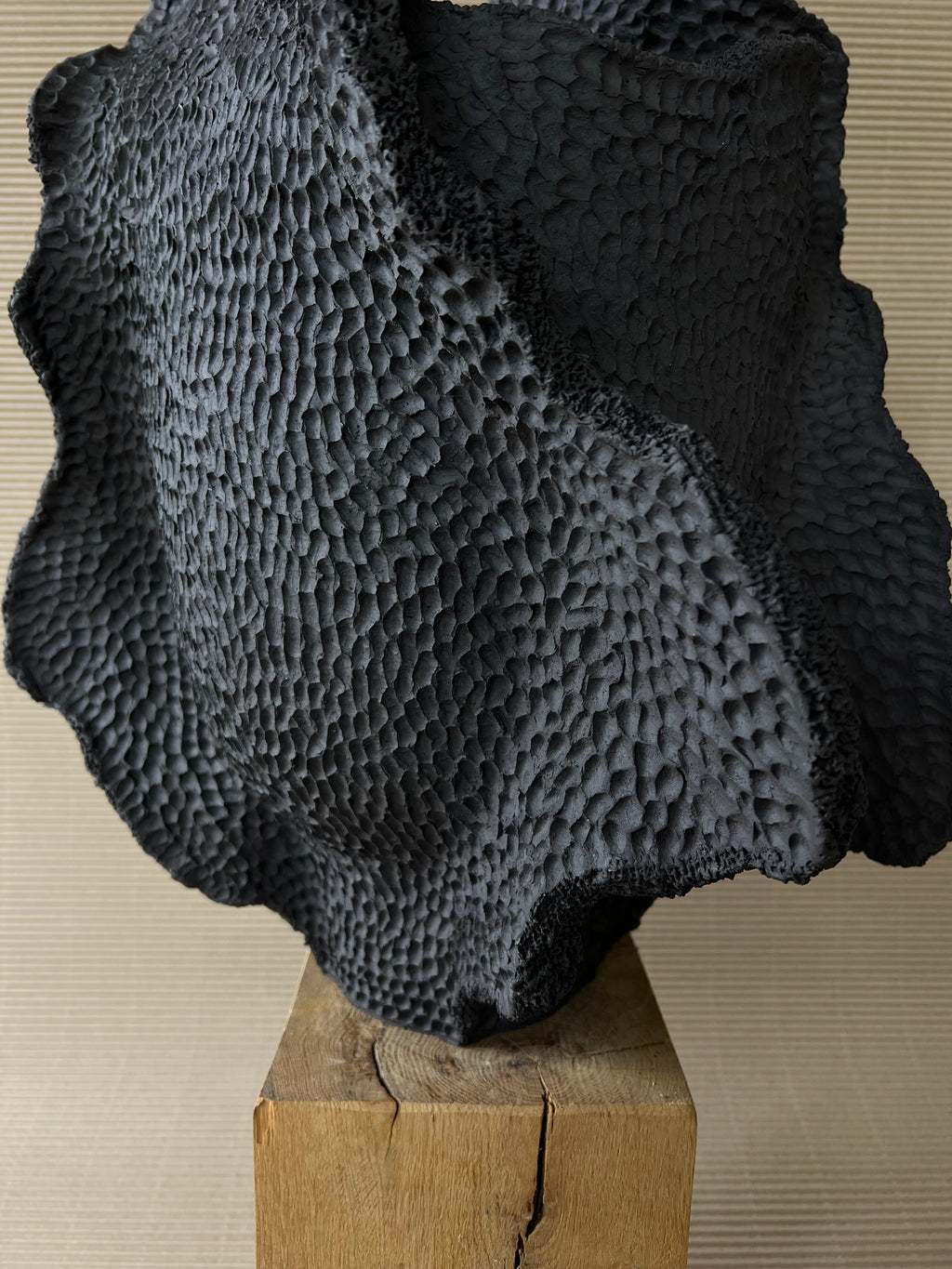 UNDERTOW No. 5