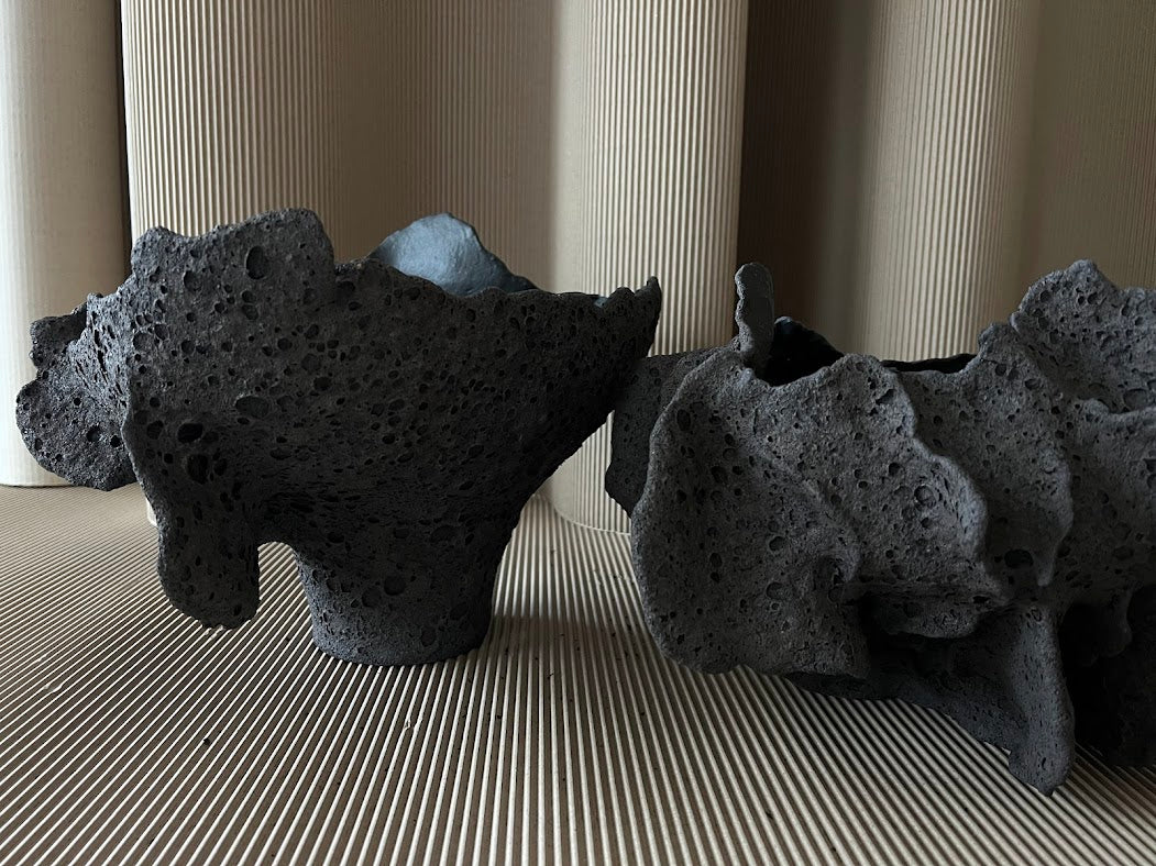 Misa  BLACK REEF No. 1