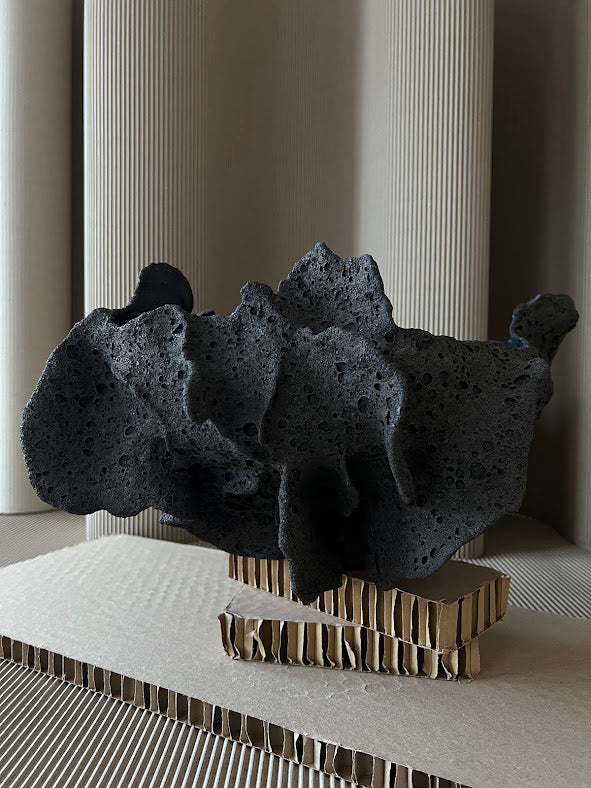 Misa  BLACK REEF No. 1